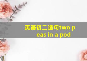 英语初二造句two peas in a pod